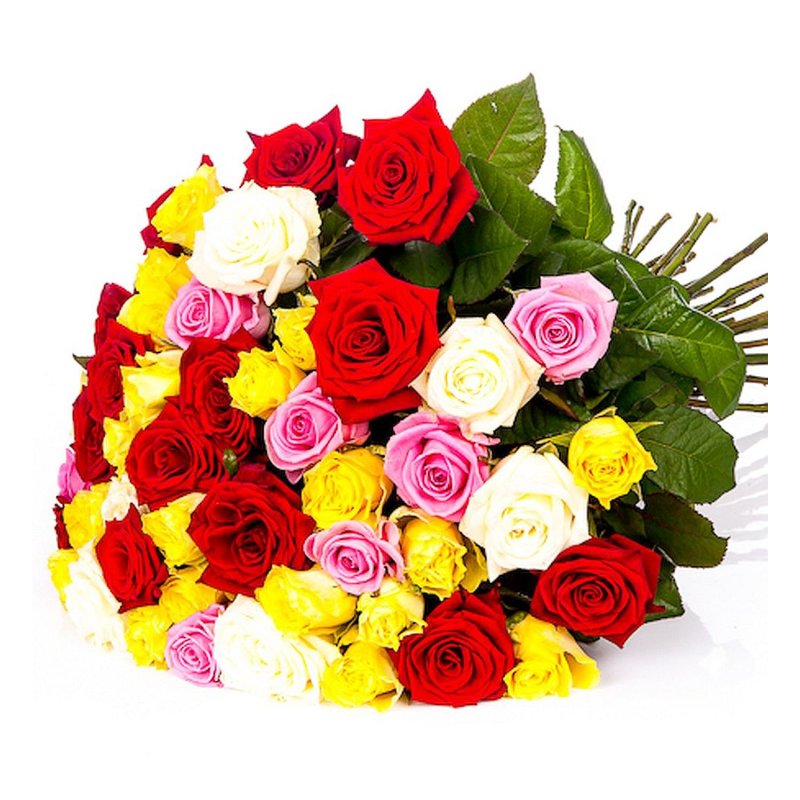 Barevný mix růží