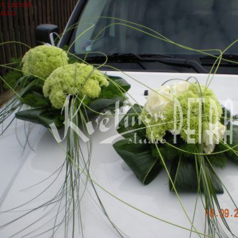 Usporiadanie pre vozidlo č. 111