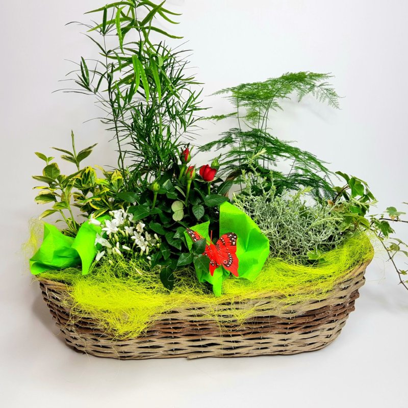 Sesazovaný koš Agáta