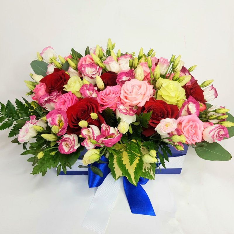 Květinový box Dalma