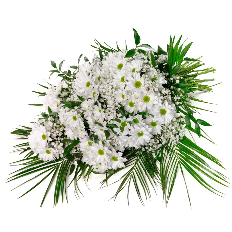 Траурна гіпсофіла та хризантеми